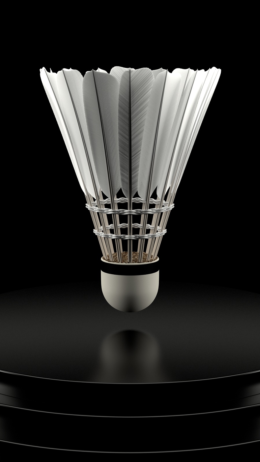 中表现出色 中表现出色