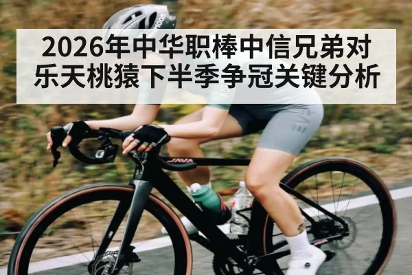 2026年中华职棒中信兄弟对乐天桃猿下半季争冠关键分析